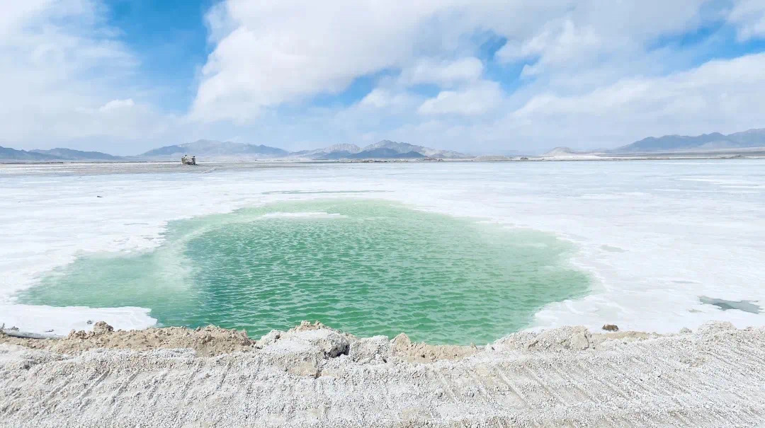 EVEPower_EVE's tweet image. Our field🌍🌻🌸🍃Photography 
Part of EVE▶️Check out our official website for more info! evepower.com/en #evepower #powerbattery #batteryplant #photography #ElectricCars #sustainable #sustainability #environment #batteryforcars