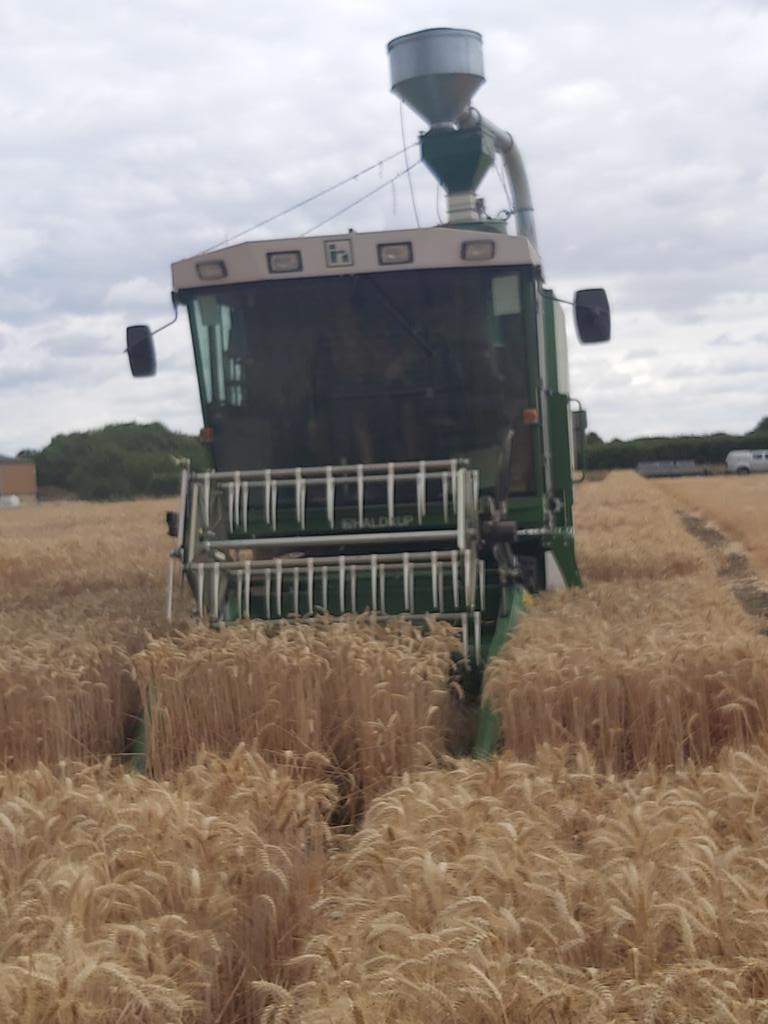 Start of the Winter Wheat harvest here @LSPBLtd