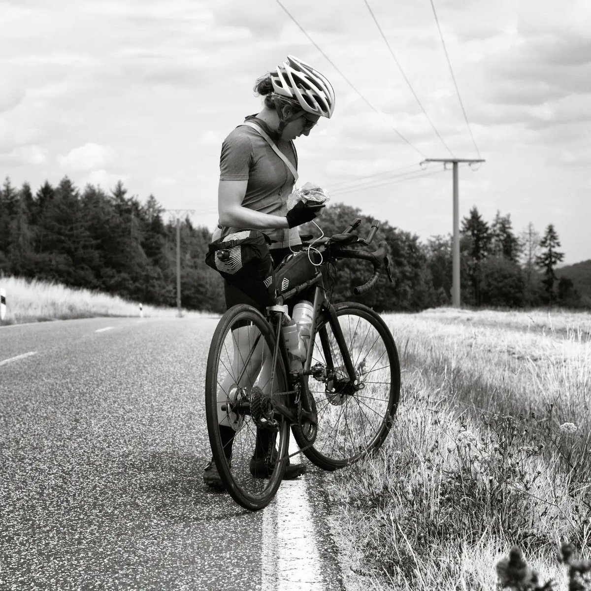 The Transcontinental tweet media