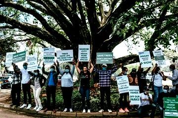We stand in solidarity with the Aarey Forest Movement ✊🏻🔥

Aarey Forests in Mumbai r being cut down for building a car shed . The forest is rich in wildlife & also protects Mumbai from floods.

JOIN US IN THIS FIGHT ✊ 
 #AareyForest #DontKillMumbai @LicypriyaK @umashankarsingh