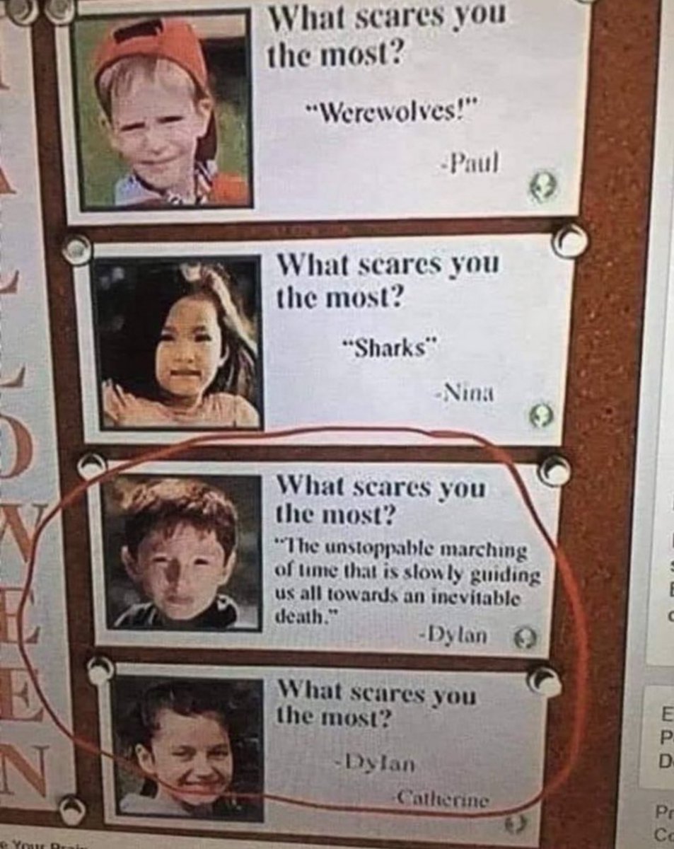 Out of Context Human Race tweet media