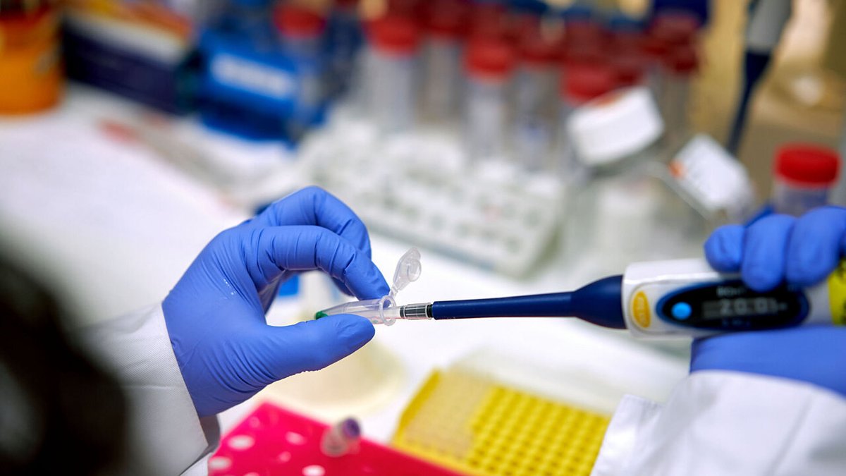 wattjames149's tweet photo. We are grateful to invite you for "7th World Congress on Oncology and Cancer Research" which is going to be held on July 27-28, 2022 | Webinar.
For more details: https://t.co/BzRPHa09ag
#samplecollection #cancerbiology #cancertherapy  #palliativecare #surgery #cancerresearch https://t.co/BHM2Rqx2U5