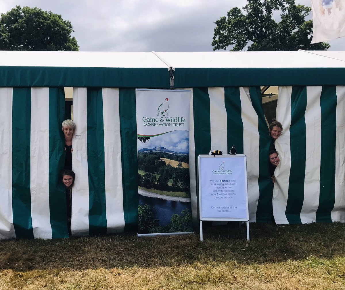 We’re @NewForestShow ready!! The @Gameandwildlife stand is up and running but you’ll have to wait for tomorrow for the big reveal! #science #conservation #advice
