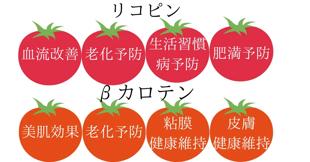 トマトの栄養を最大限摂る方法！潰して油と一緒に食べる！