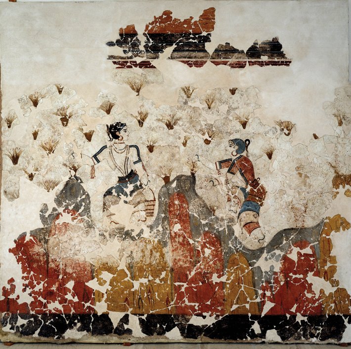 archaeologymag's tweet photo. New research drawing on both genetic sequencing and ancient art indicates that saffron was first domesticated in Bronze Age Greece, where the earliest depictions of the plant date to about 1600 B.C.

https://t.co/EQiaY0LPMa https://t.co/vRYh1aOxa8