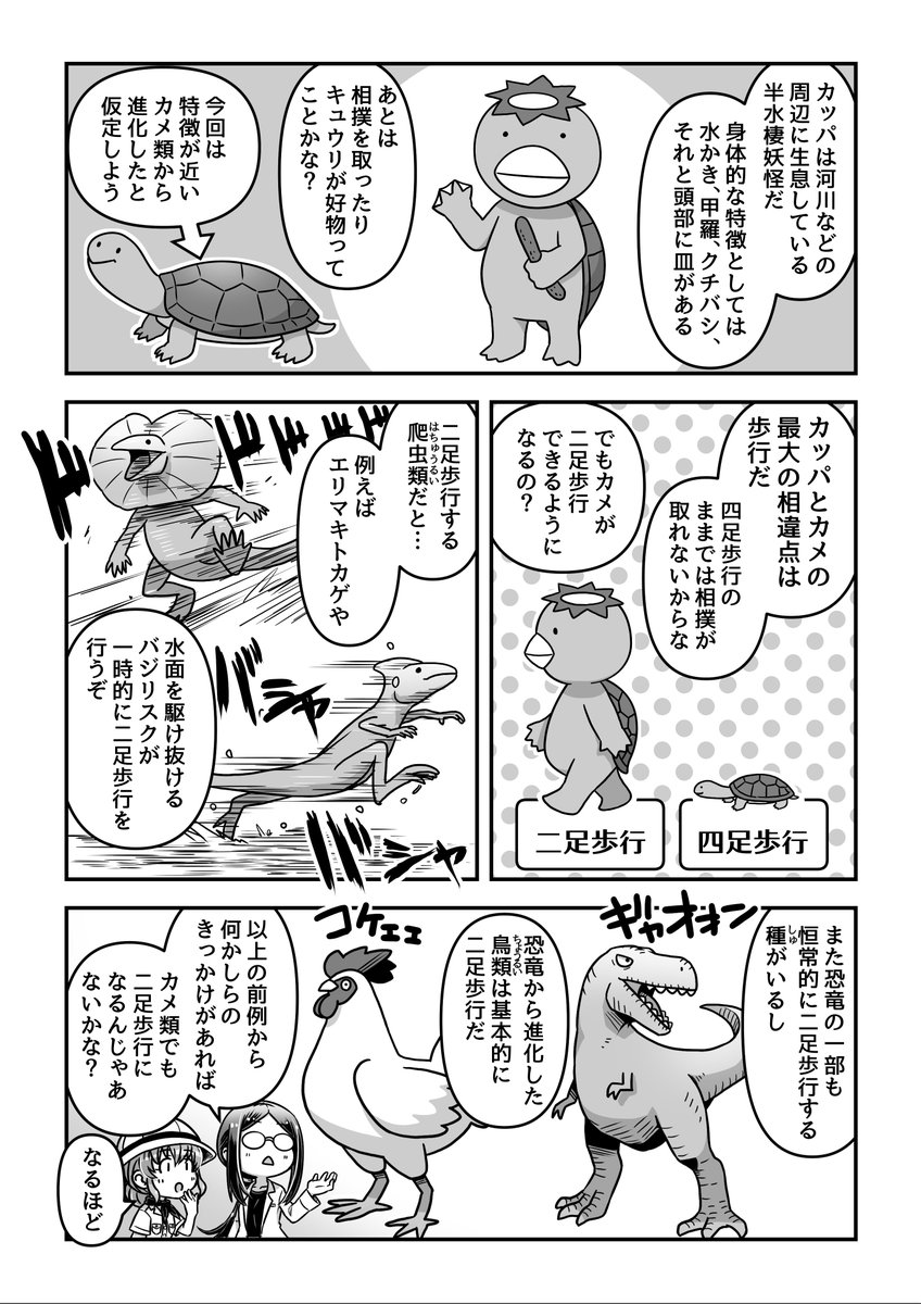 カッパを捕まえに行こう! 1/2
#道金博子の生物ザツ学記 