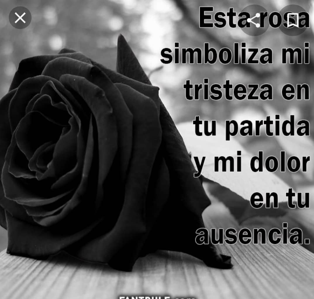 Buenos días #hermanos, Dios les bendiga esta semana con salud paz y prosperidad.

Hoy lunes oramos por las benditas animas del puragatorio,nuestros familiares difuntos, aquellas almas olvidadas. Dales Señor el descanso eterno y brille para ellos la luz perpetua descansen en paz .