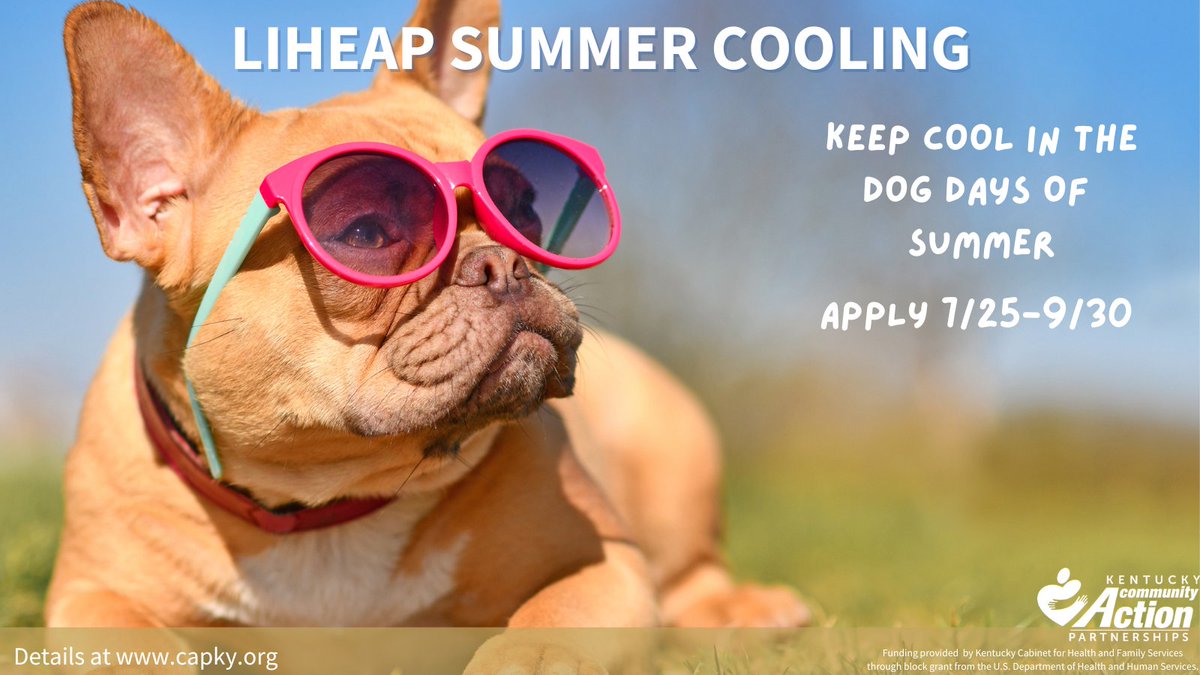 Community Action KY tweet media