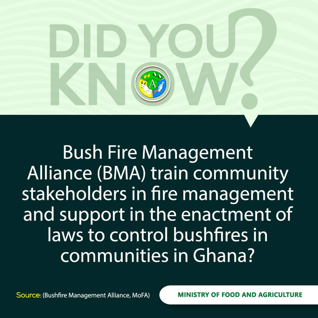mofagovgh's tweet photo. Indiscriminate #bushburning involves the destruction of plants & #crops making the land bare and exposed to harsh #climate conditions which leads to reduction of #agricproduction.
In Ghana, #bushfires are caused by hunting, land clearing, cooking on farms, amongst others. https://t.co/wEPxzXkcny