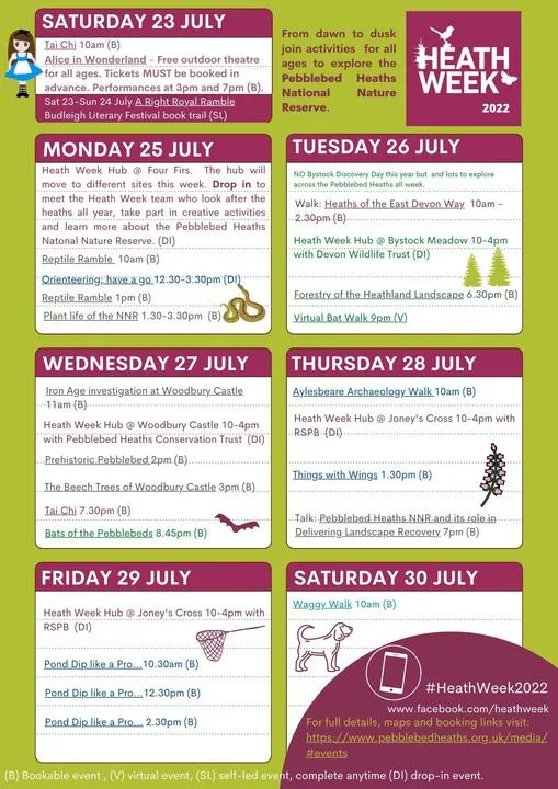 DevonWildlife's tweet photo. #DYK that Devon's pebblebed heaths is a National Nature Reserve? Find out more while visiting DWT's Bystock Pools on Tuesday 26th July, pick up an activity sheet from the Heath Week hub and join our exciting virtual bat walk in the evening! https://t.co/vVXLFQUt8g

#HeathWeek2022 https://t.co/vjiZIokYnp