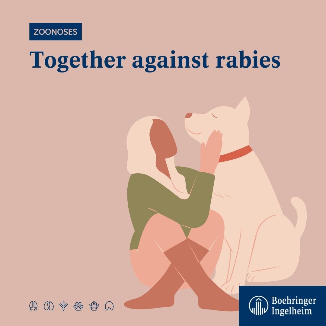 Boehringer_AH's tweet photo. Now more than ever, we need to step up to actively work towards preventing zoonotic diseases. That is why we have gathered few pointers that can help you combat preventable zoonotic diseases like #rabies! Have a look to understand the part you can play: https://t.co/M4v76BMJPp 🙌 https://t.co/gEjp9PsWEd
