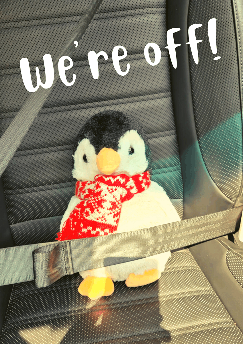 She's packed her case, her seatbelts on...  Follow Penelope's holiday on our socials this week.

Why not register your children for a waddle with Penelope Penguin, she'll be back for our Winter Fundraiser, register your place now. bit.ly/3zjdsXJ