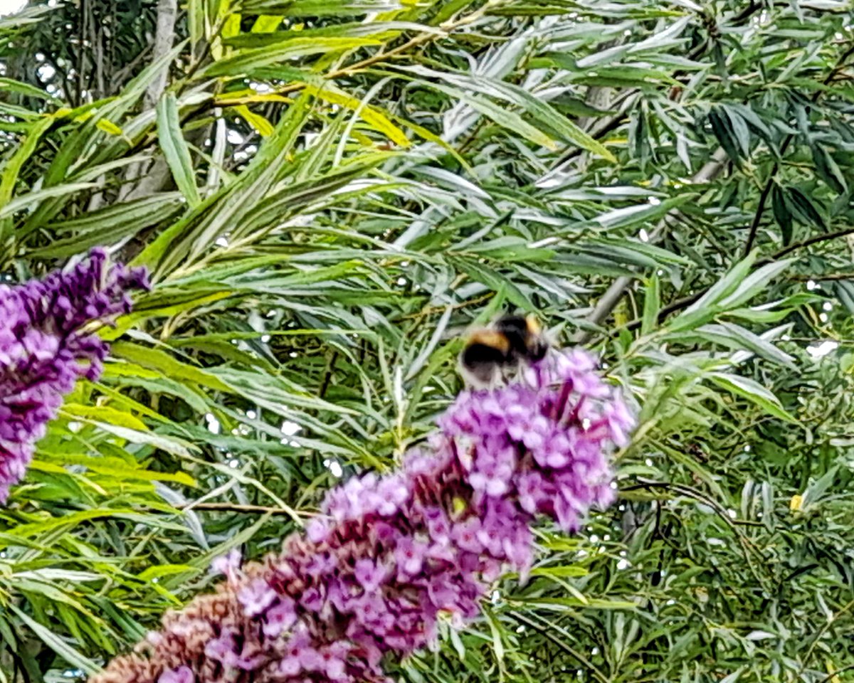 Cath Cooper 🍃💚🍃 #PlasticFreeJuly tweet media