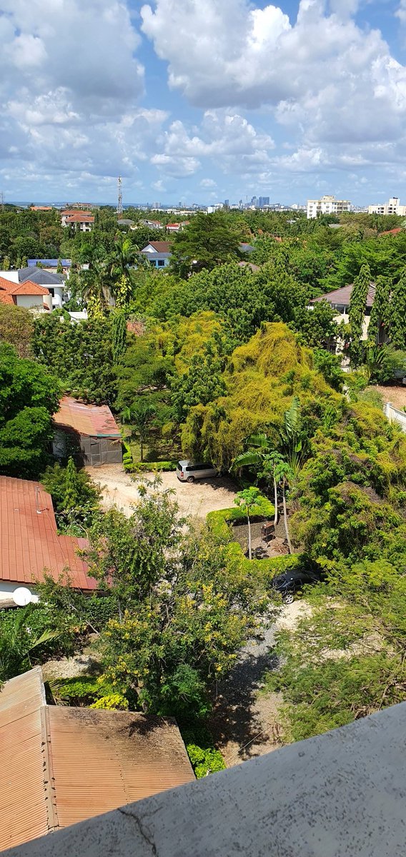 Mike Rose tweet media