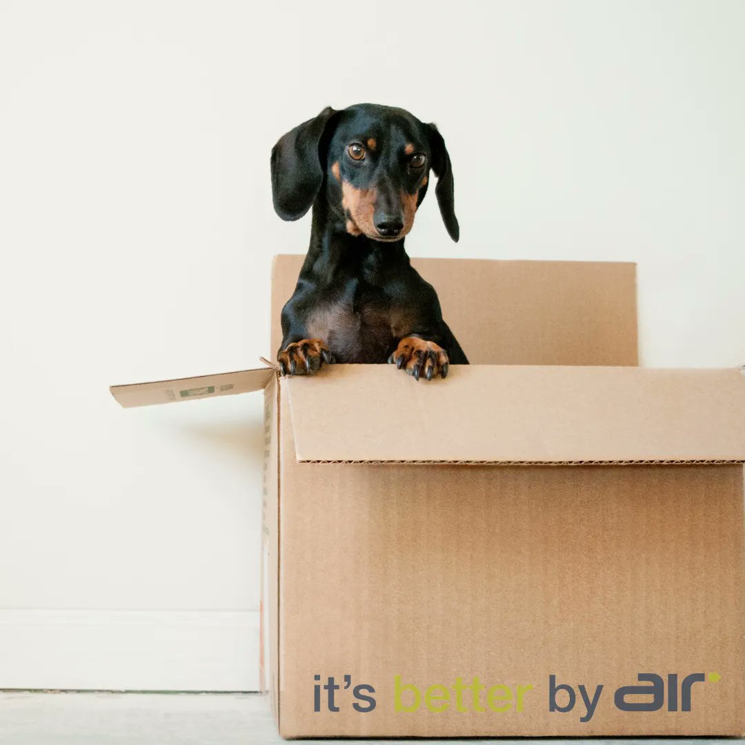 AirCourier's tweet photo. Need your parcels delivered on a special date? We can hold them for you! Don't worry - we'll keep them safe. We know how important they are. #itsbetterbyair #always #courier https://t.co/LATxql5LU0