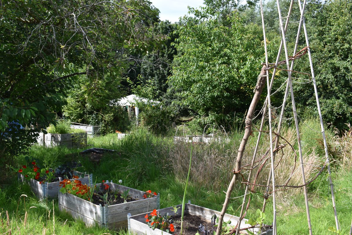 Pollinators tweet media