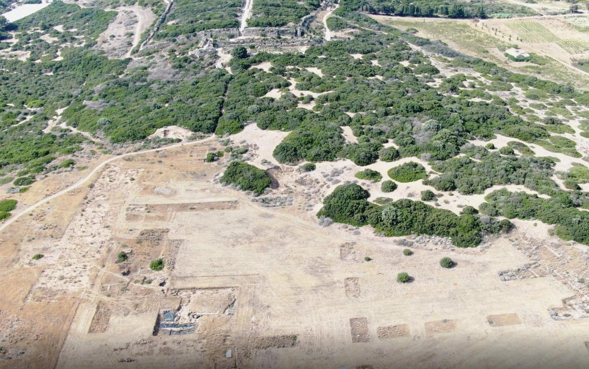 alexdimaio's tweet photo. 🏛🏺In the ancient city of #Selinus (#Sicily) archaeologists uncovered the largest agora in the ancient world: 33,000m2! They also found the remains of what seems to have been the sacred place of the first Greek colonies in 610BC. #Selinunte #archaeology
📰https://t.co/iLMGx2Ezov https://t.co/XzTdXs1AJC