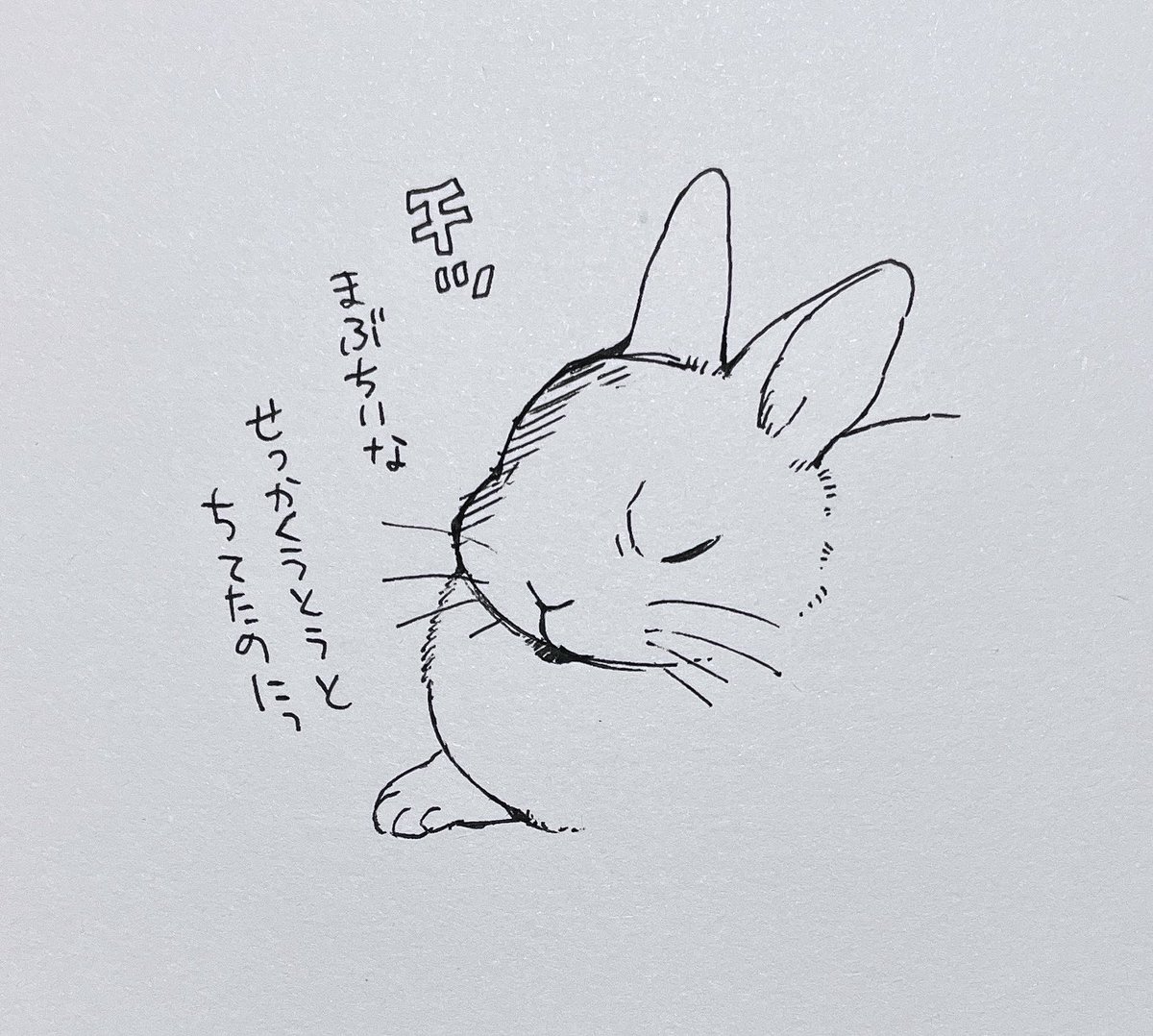 ぽぽさまブチギレ 