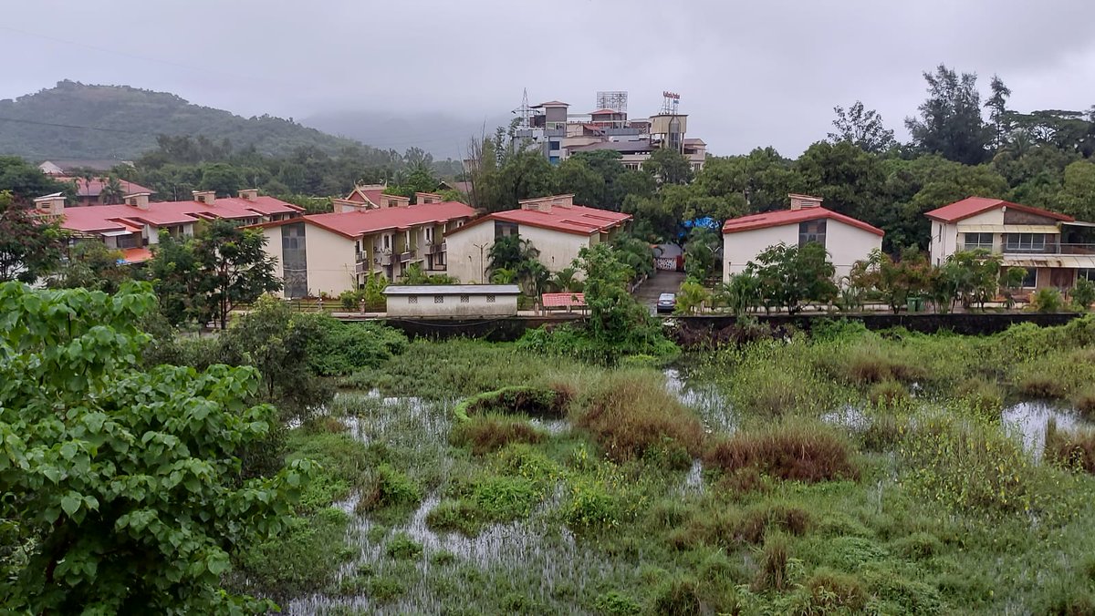 SmrnTweets's tweet photo. #Lonavala you beaut https://t.co/zXA2dghy8M