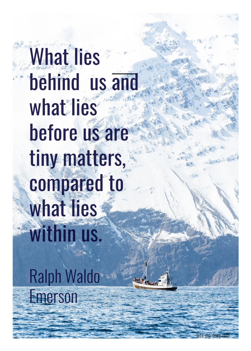 Lets-dig-deep tweet media