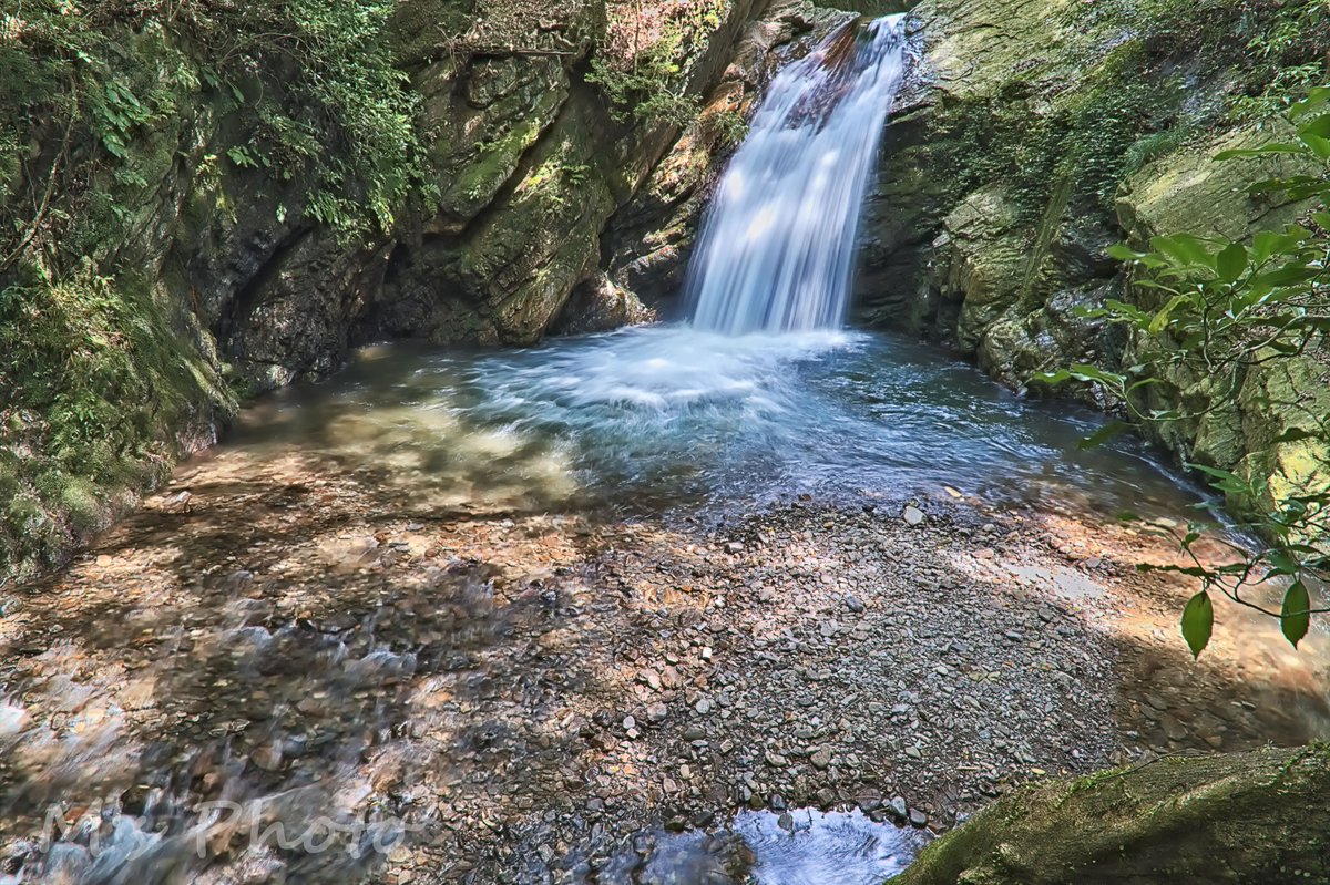 houwakougyou's tweet photo. 📷2022,07,24
ー 木洩れ日が落ちる滝 ／#風景 ー
-Waterfall where sunlight falls through the trees / #Landscape-
#Waterfall #WaterfallBasin #ClearStream #Clarity #WaterLandscape #TheSoundOfWater #Nature
#Nikon #D780
#Rawtherapee #GIMP #Nikcollection #Jtrim https://t.co/yhCo9FMekB