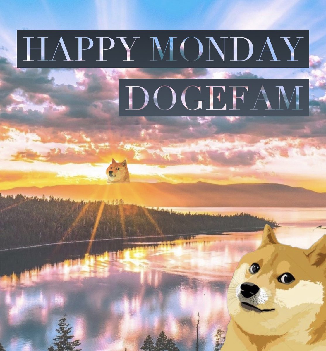 MissyDogeLover's tweet photo. A fresh start to a new week!! ⭐️ #doge Wishing my #dogefam a wonderful Monday! Much Love 💛 #dogecoin #dogecoinrise  #DoOnlyGoodEveryday Spread some #doge love around everyday 💛🙌🏻💛 https://t.co/cz2kq2WrCt