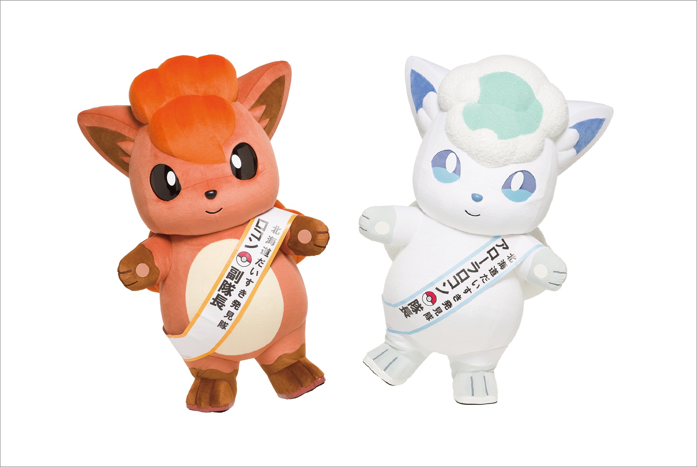 ポケモン北海道だいすき発見隊アローラロコン、ロコンとバスに