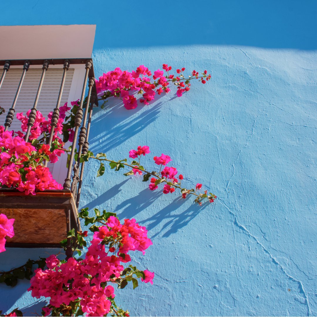 feelcostadelsol's tweet photo. Did you know that there’s a #bluevillage 🏘️ in the #CostadelSol? Júzcar’s history dates back to 2011 when it was chosen to host the international premiere of “The Smurfs”. The whole destination was painted blue for the occasion. Come and visit this place like no other 🤗 . https://t.co/qVvEbV73lV