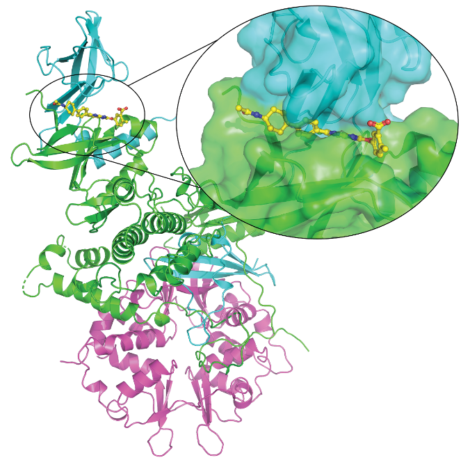 Biochemical Journal tweet media