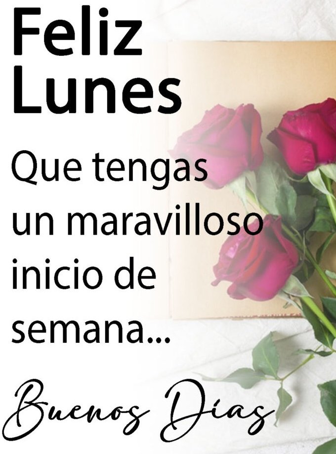buen inicio de semana feliz lunes Imágenes Sofia❤️ on