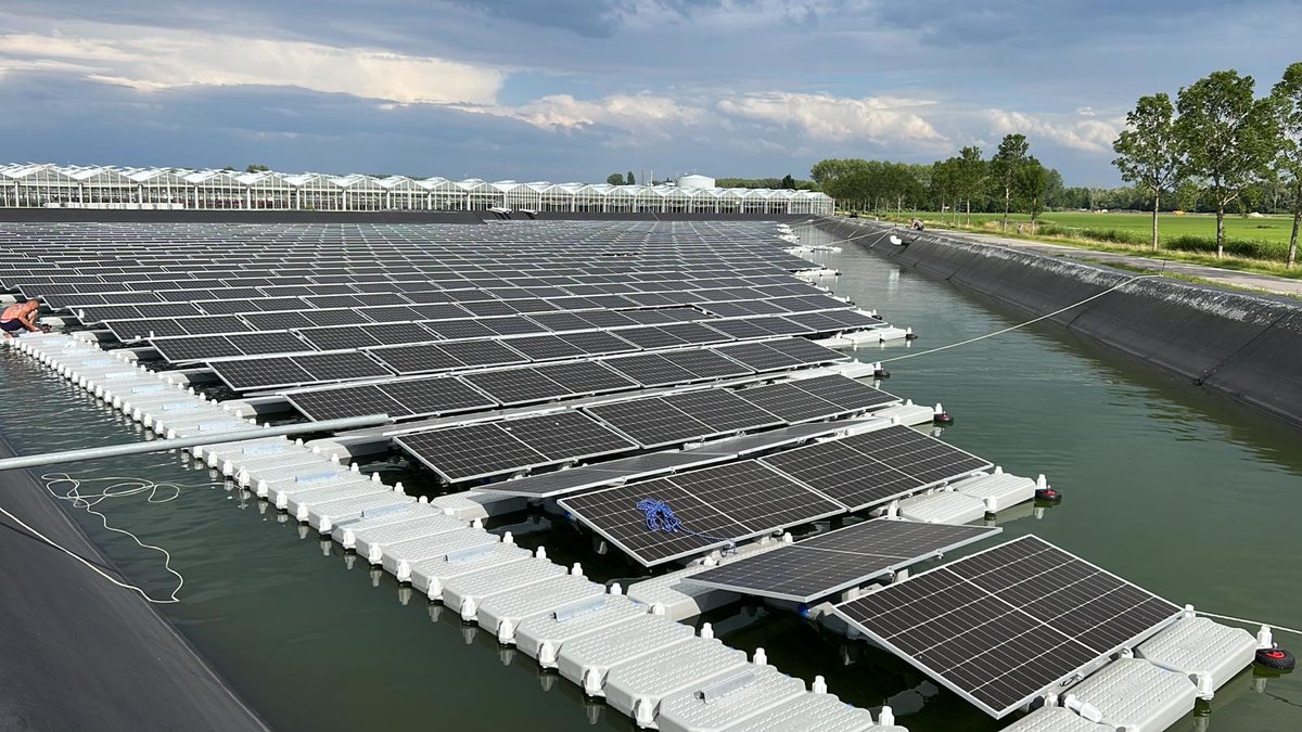 CJ Orchids tweet media