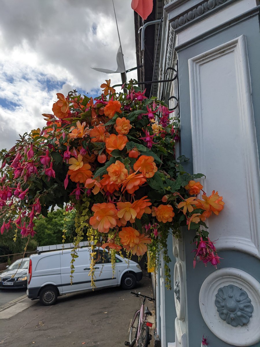 TheGardenHouse5's tweet photo. The clue is in the name #gardenhouse the flowers 🌹 are looking lovely the trees a full of leaf 🌿 insects and 🐝#norwich #goldentriangle #beergardenweather #norwichpubfest22 https://t.co/Z0pRf9VWht