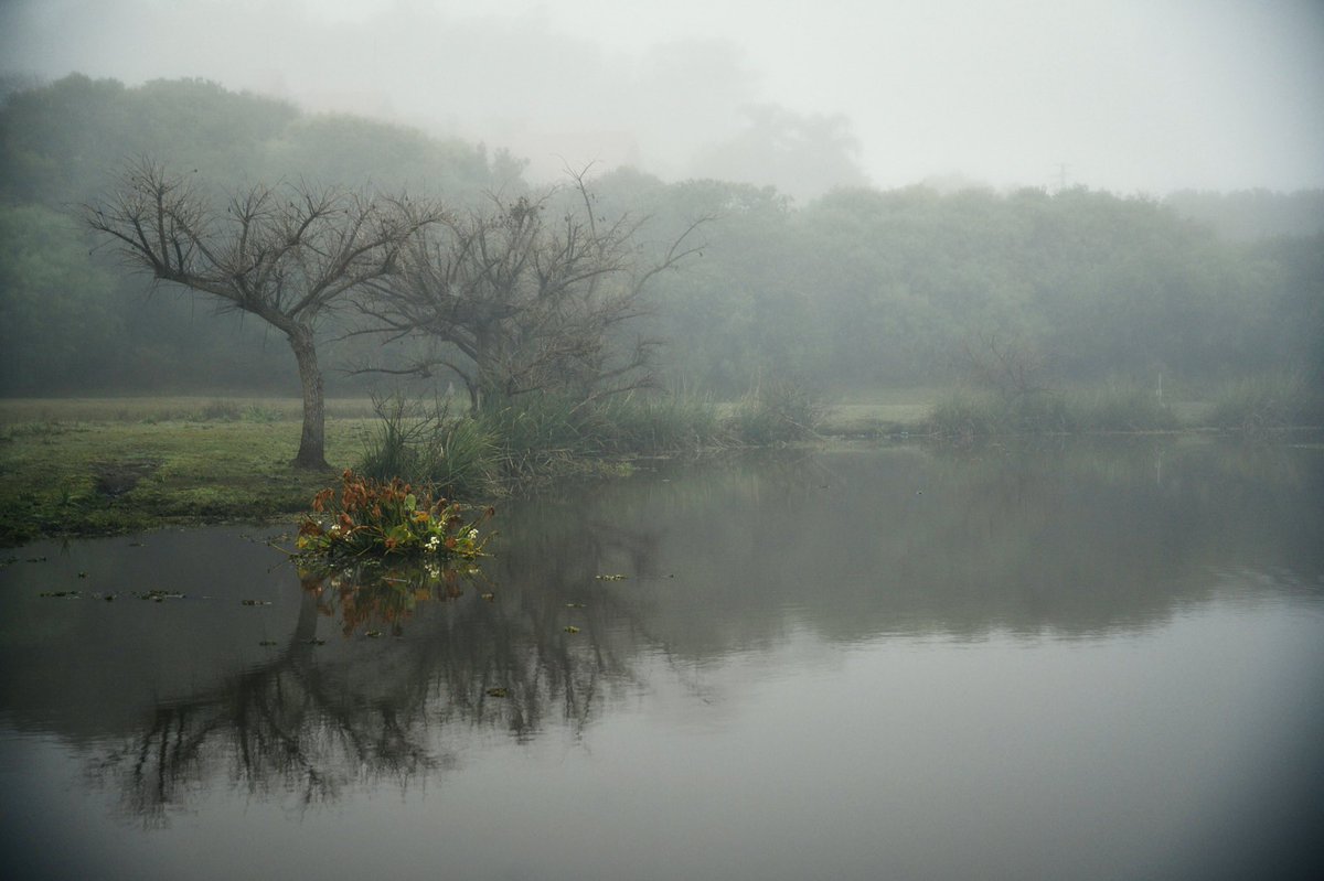 TaliKimelman's tweet photo. Estas mañanas de niebla en #Uruguay son hermosas, ¿verdad? 
Fotos tomadas en Solís, Maldonado https://t.co/3DPBTGXEuS