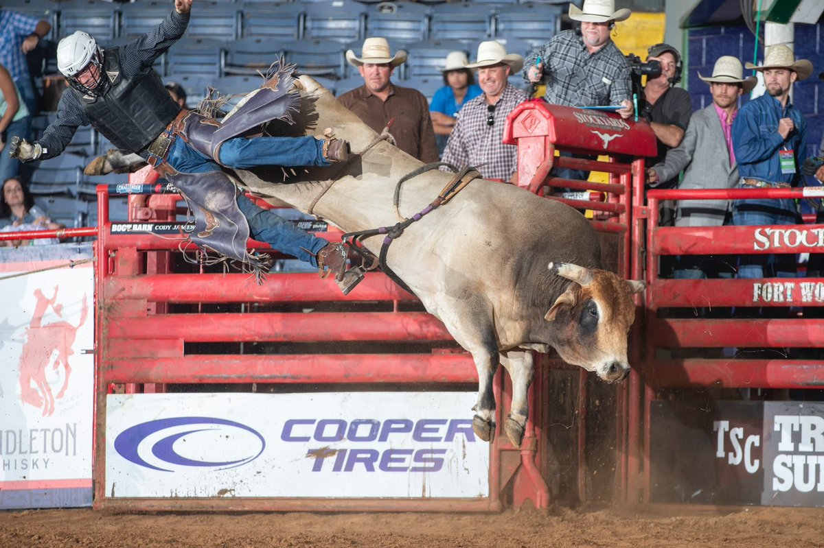 91 Bootlegger of Flinn Cattle Co posts a marking of 91.12 in Cowtown to take home the victory!