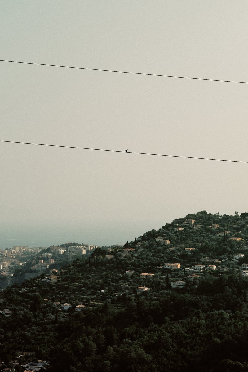BBlackrish54's tweet photo. SUR LE FIL
#fujifilm #nice #CotedAzur #photography #photo https://t.co/UHuCmMDzzm