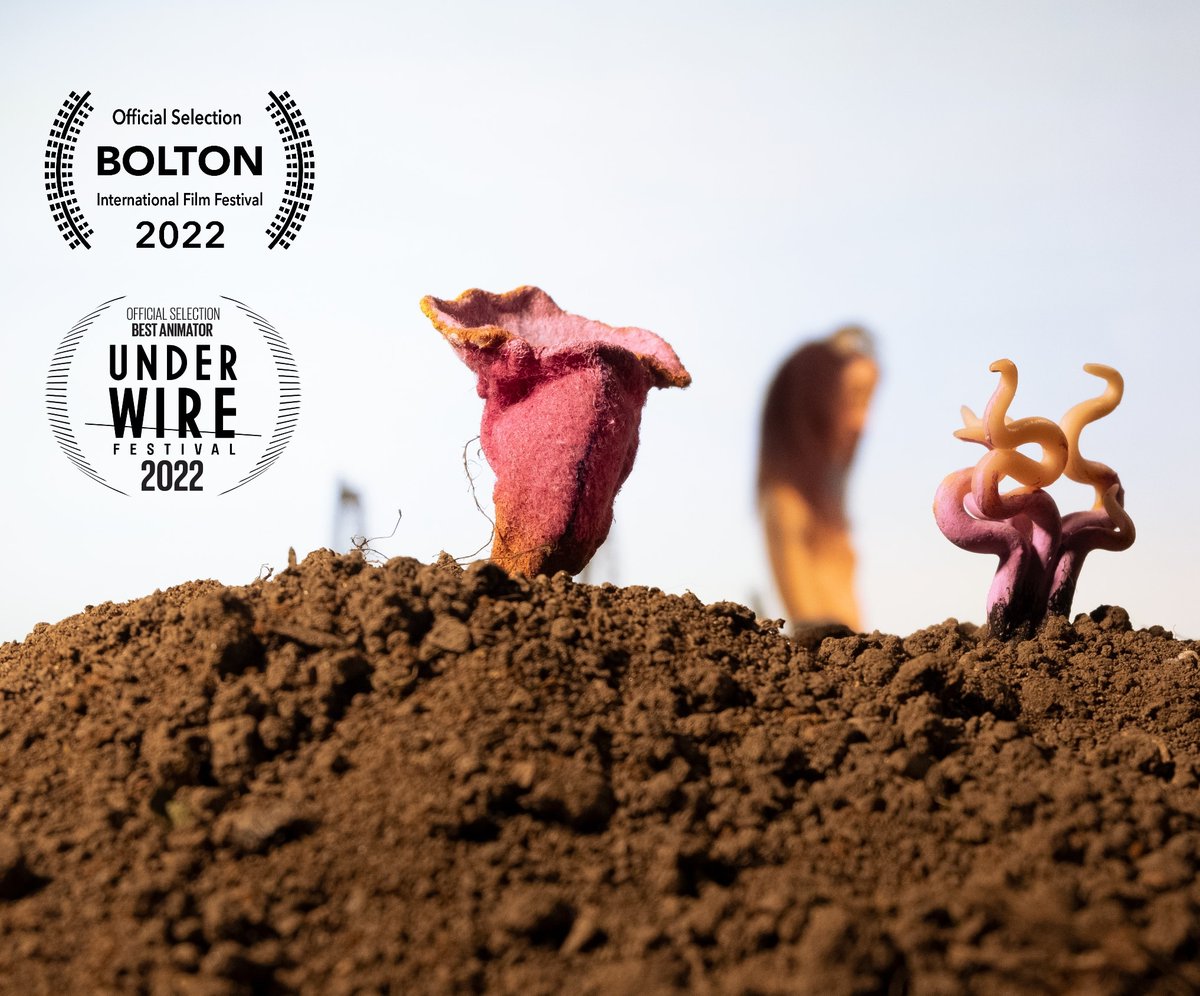 Growing Plains is heading to <a href="/BoltonFilmFest/">Bolton Film Festival</a>
<a href="/BIFA_film/">BIFA</a> / #bafta qualifying festival 🌱
@newcreativesnorth #bbcarts #stopmotion #shortfilm