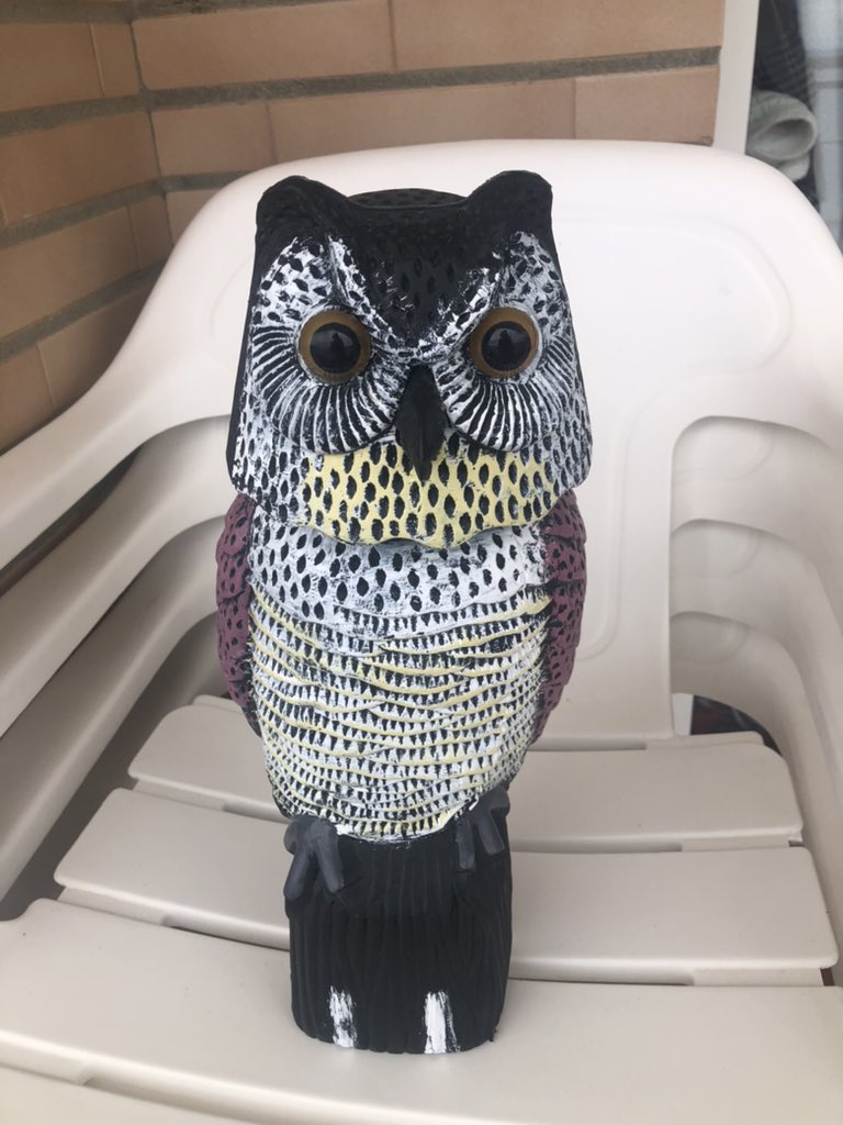 GeTi_'s tweet image. Mi hermana @amayageti ha declarado la guerra a todos los pajaritos y ha decidido colocar todos estos achiperres. Todo normal si no fuera porque 2/4 de la familia tenemos pánico a las serpientes 🐍 y sufrimos microinfartos nada vez que salimos a la terraza 😒 #FamiliasAnormales