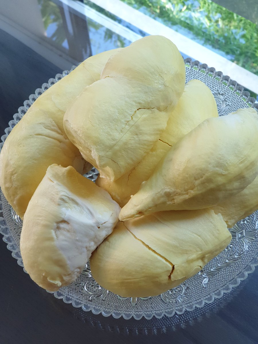 KwansriR's tweet photo. ปอกทุเรียนได้สวยงาม (ชมตัวเอง)😆😆😆 ส่งตรงมาจากยะลา เนื้อหนาหวานมัน อร่อยมากๆ https://t.co/JvidJSfA2a