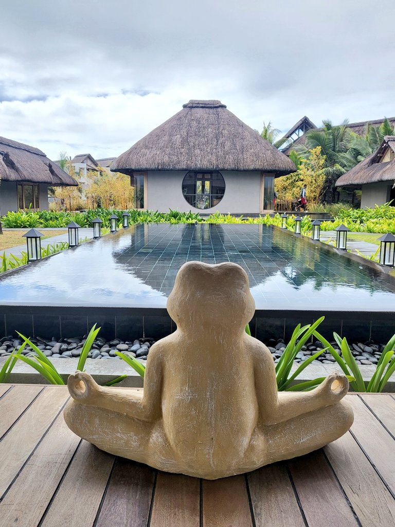 livingitupct's tweet image. I may be back in South Africa, but my heart is still in Mauritius! 💗 Had an amazing time at @C_resorts C Mauritius Hotel 🌴🥳🍹🌺 Such an incredible vibe &amp;amp; energy at this relaxed resort. 🤩
#MyCignature #CoolestAllInclusive #EastCoastRocks @AfricanSynergy
