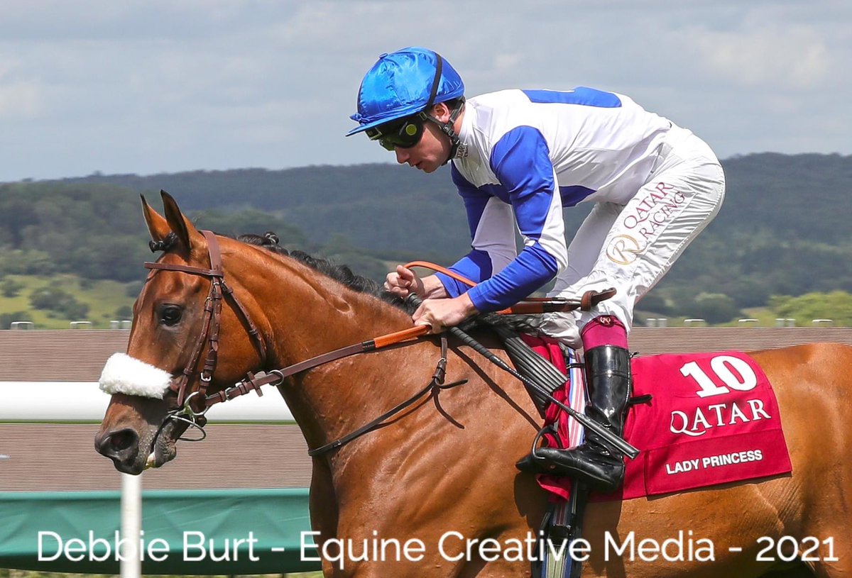 ARO_Racing's tweet photo. ๐ #toprated #declared ๐ถ๐ฆ๐๐@Goodwood_Races @Q_REC ยฃ400k #Group1PA read more ๐ https://t.co/fANG7ZnELD ๐ @afac_contact @ArabianRH @SportingLife @ToteRacing @RacingPost @JDGArabians @JimCrowley1978 @maximeguyon_off @RonanThomass @TomMarquand @D_Muscutttt @EquineMediRec https://t.co/l33gVYjZuq