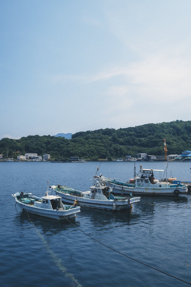 From3776's tweet photo. FUJIFILM
xpro 3
いいじゃん。

#xpro3
#FUJIFILM
#夏 https://t.co/tKhpRsUzlC