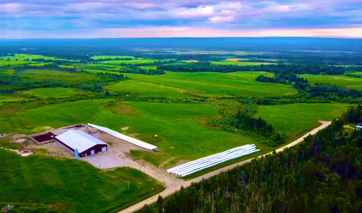 bigfallsag's tweet photo. Big Falls Ag. looking a little Irish this time of year from up above 🍀Discouraging to hear so many stories about farms struggling lately in a province with such great farming potential. @NLFarms @FFA_GovNL @FureyAndrew https://t.co/ImFmqVOdWF