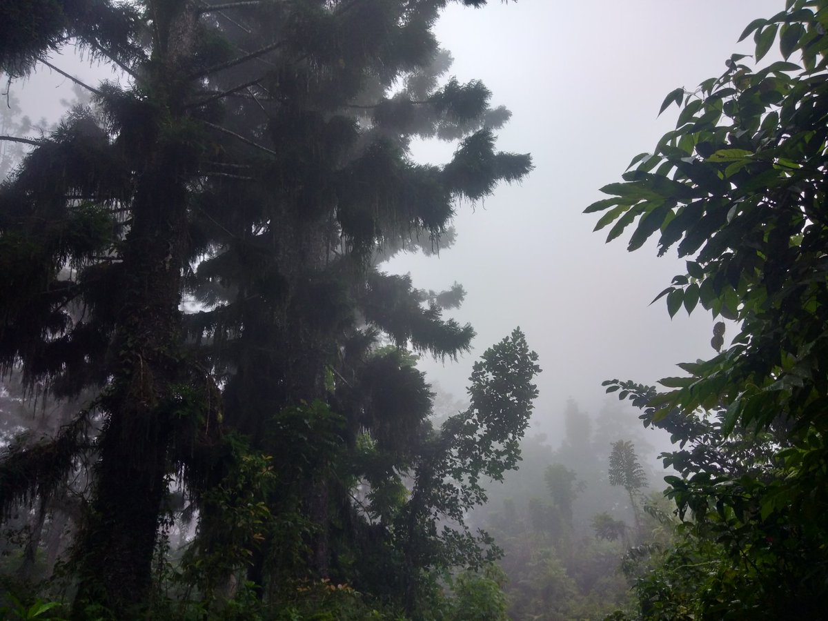 Gaikazee's tweet photo. Away from the city https://t.co/8mvKCC3pAY