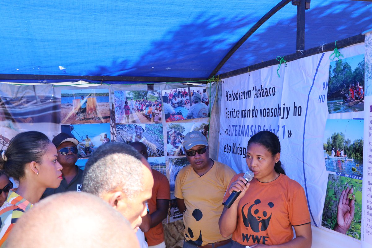 2nd day of the national celebration of #MangrovesDay in Nosy Be. A carnival with the participation of conservation actors, local communities &amp; youth was held this morning. Exhibition stands are also visible to expose the initiatives of WWF, communities &amp; youth.