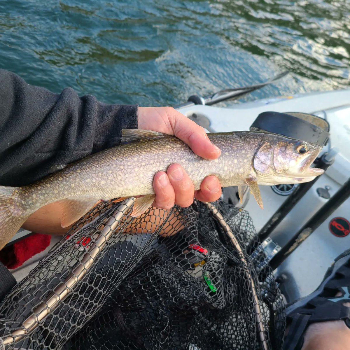 SFO303's tweet photo. With double digit fish being caught I'd say this tube jig has held up to the challange. @BiobaitFishing #WhiskeyTango #Tubejigs #fishing #lake trout #splake #Brooktrout #Hobiefishing https://t.co/3QoXEnze4l