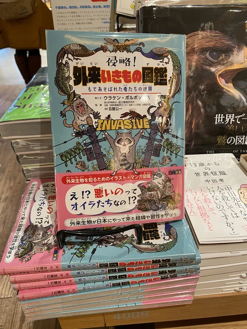 それまで生きもの全然描いてなかったのに、GotGの放送に合わせて描いたこのアライグマがキッカケで #外来いきもの図鑑 を出すことになり、その外来いきもの図鑑を見た中央公論新社から #すごい毒の生きもの図鑑 の話が来たので、マジで人生に与える映画の影響がデカすぎる。
https://t.co/UwadrO85QB 