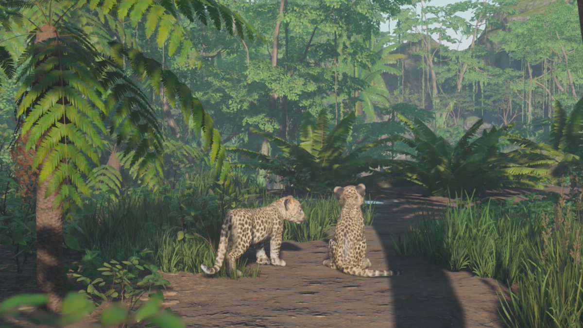 NFT101_Studio's tweet photo. Souls of Nature | #NFToftheWeek

🌳 It aims to raise funds and awareness for the environment, by providing unique metaverse experiences to holders as an experience-to-earn. https://t.co/IzgoPGmWt8