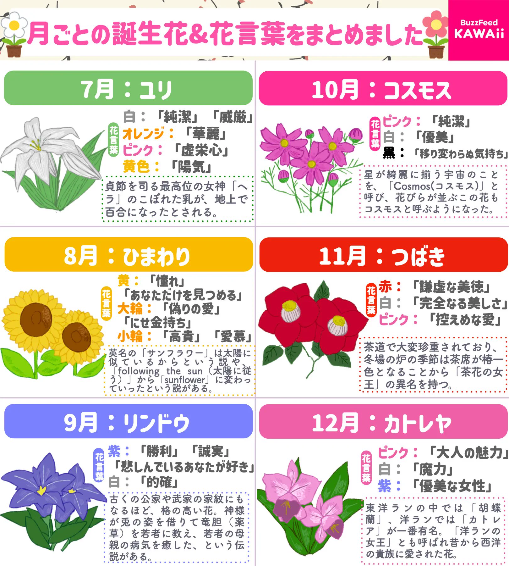 自分が生まれた月の誕生花を知りたい人必見！月ごとの誕生花や花言葉をまとめたツイートが話題に！