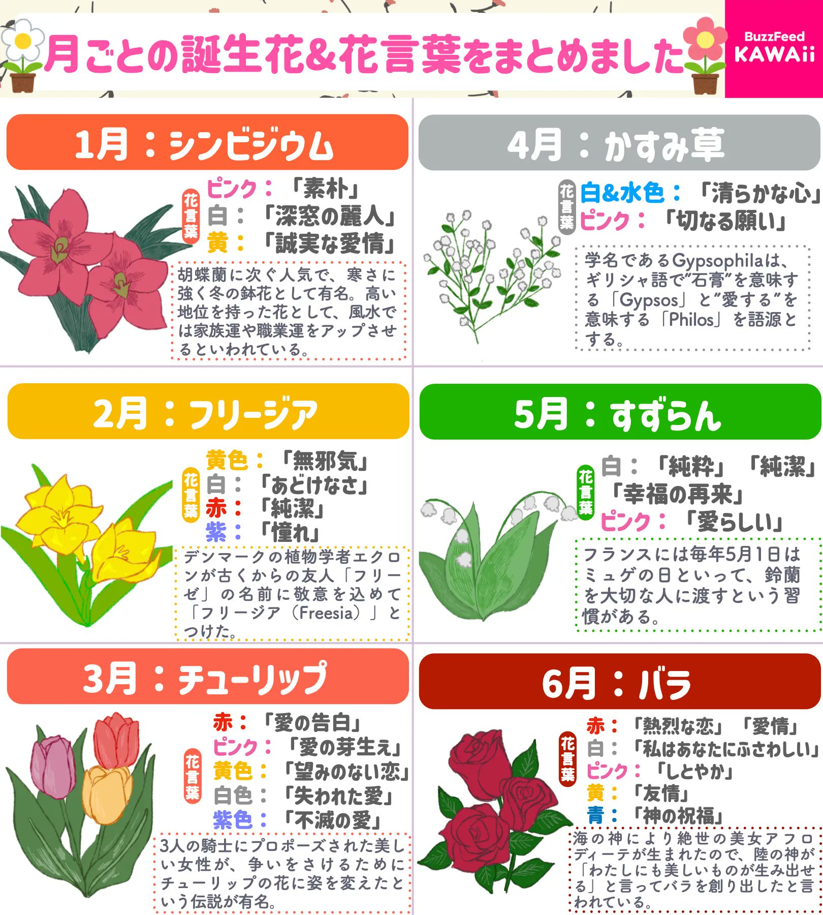 Buzzfeed Kawaii あなたの生まれた月の誕生花は 月ごとの誕生花と花言葉をまとめました T Co Os2lquqwto Twitter
