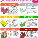 自分が生まれた月の誕生花を知りたい人必見!月ごとの誕生花や花言葉をまとめたツイートが話題に!